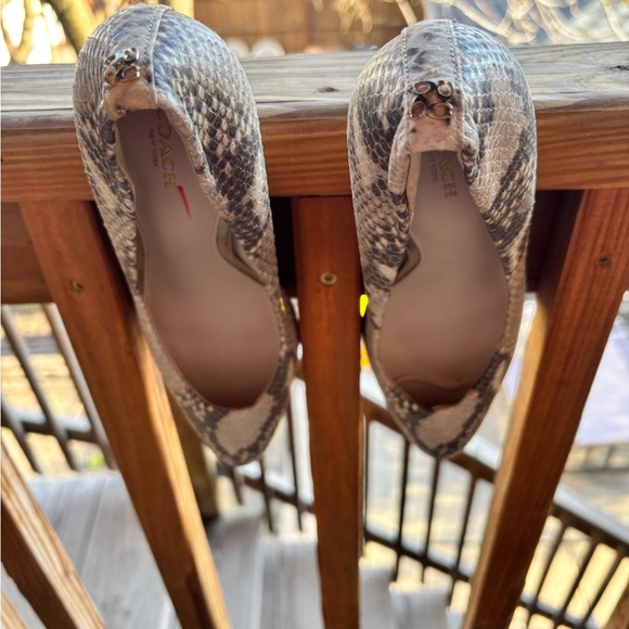 COACH Cream and Gray Snake Print Stacked Heels - Picture 8 of 12
